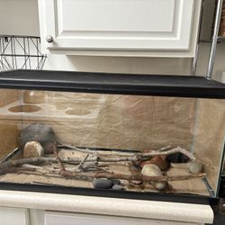 20 Gallon Tank