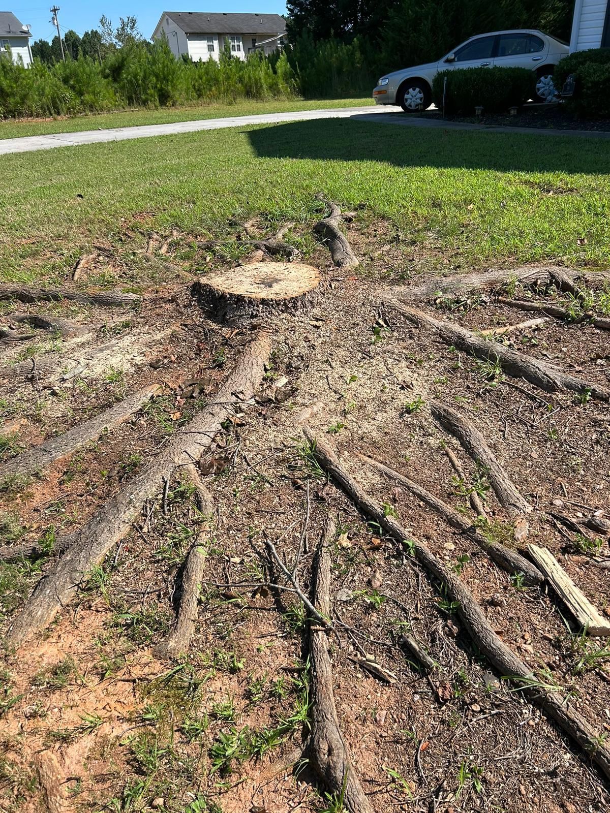 Stump Grinding