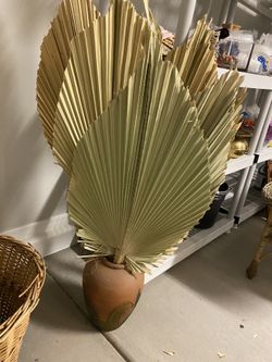 Terracotta Pot With Palm Fans