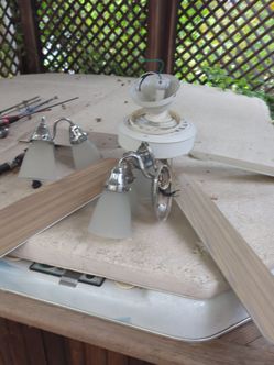 Free ceiling fan