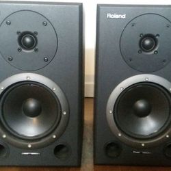 Roland DS90 Studio Monitors 