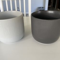 Plant Pots 