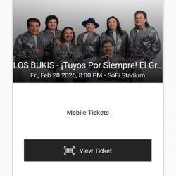 Los Bukis