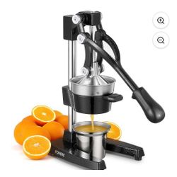 Fruit Press Machine 