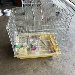 Bird Cage 