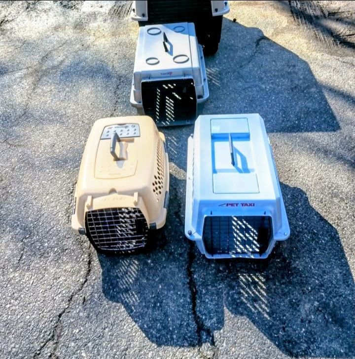 Pet Carriers / Cat Carrier / Dog Carrier - $35 & up