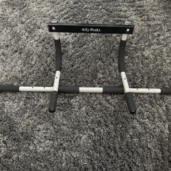 Ally Peaks Pull-Up Bar