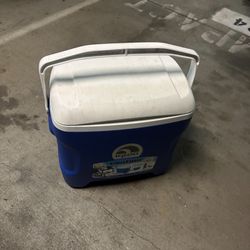 Carry On Cooler In Good Conditions