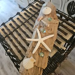 Drift Wood With Coastal Secor 17 Ling 5 W. 20 Obo