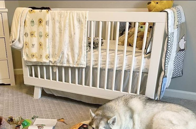 Babyletto Hudson 3-in-1 Convertible Crib/toddler Bed