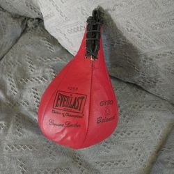 Speed Bag