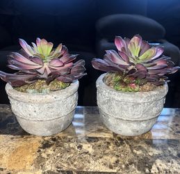 Decoration  ( Flower 🌺 In Pot ) 