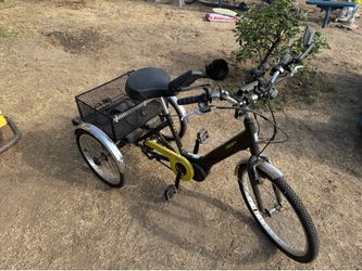 Electric trike