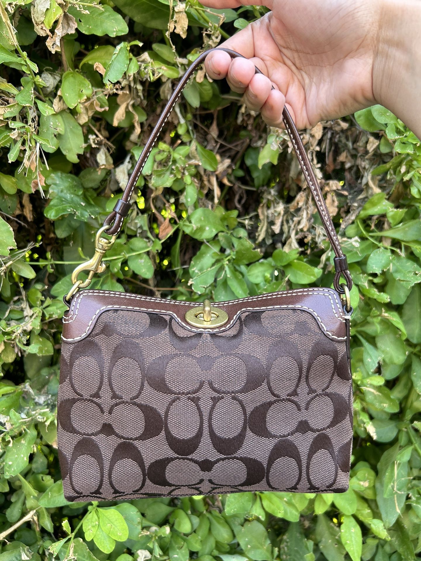 Brown Coach Bag