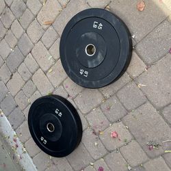 Pair of 45lb Rubber Olympic Weightlifting Plates (90lbs Total)