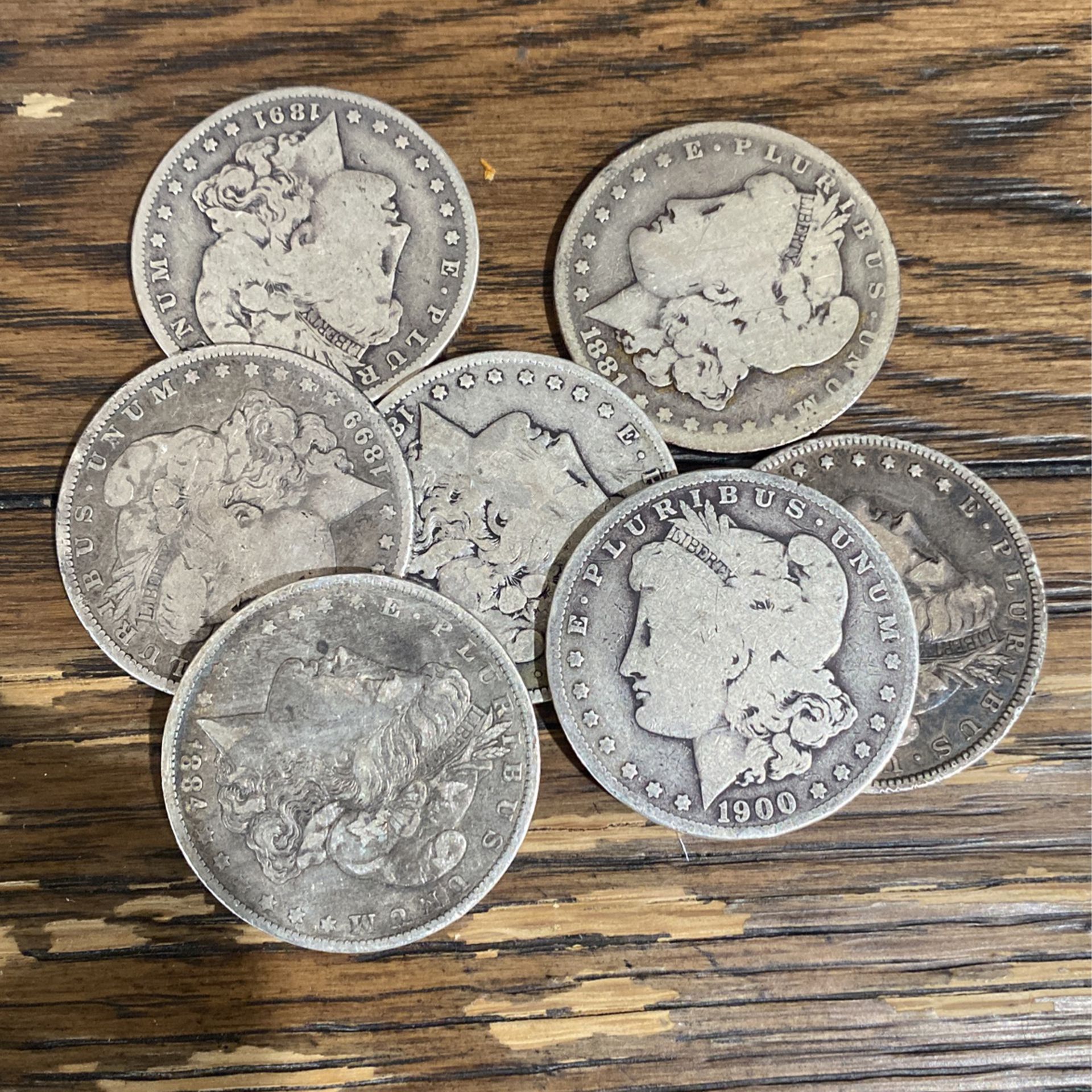 silver morgan dollars coin collection 