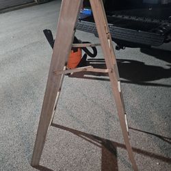 5 Ft Ladder