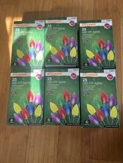 Silvan a Christmas Lights