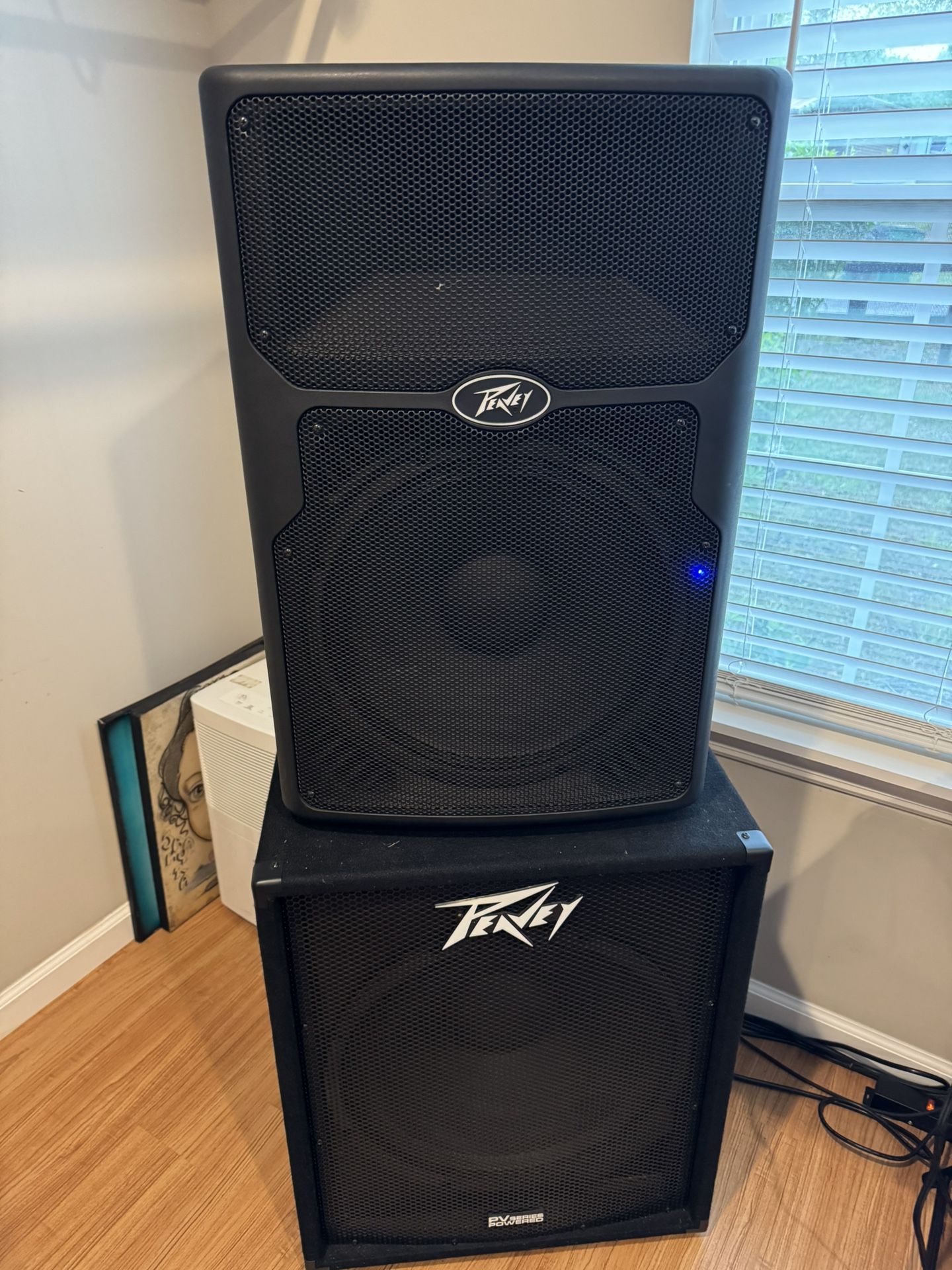PEAVEY DJ SYSTEM WITH SPEAKERS