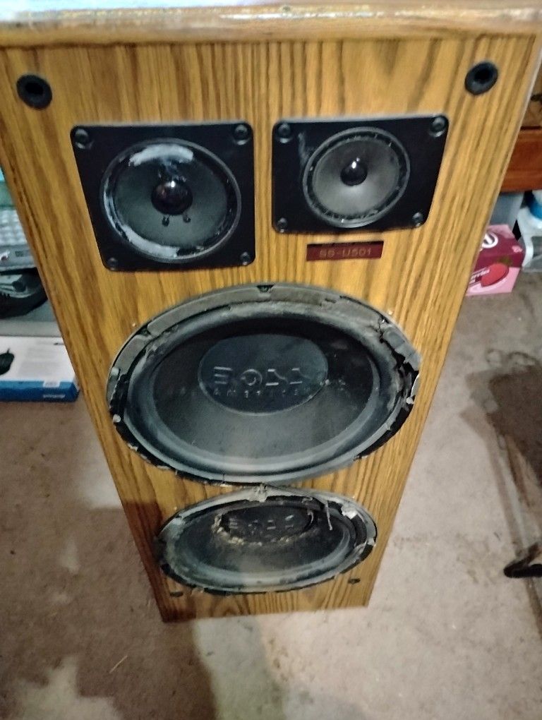 2 Boss Subwoofers
