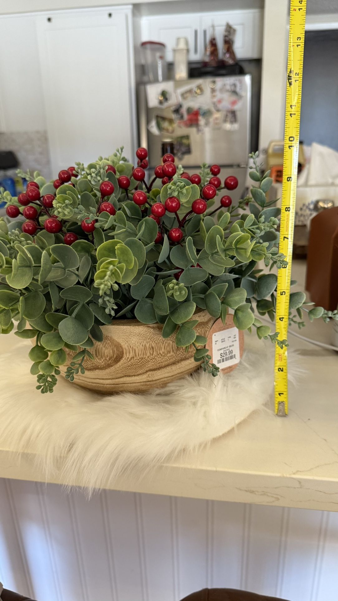 Decorative Plant
