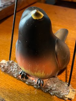 Singing Robin
