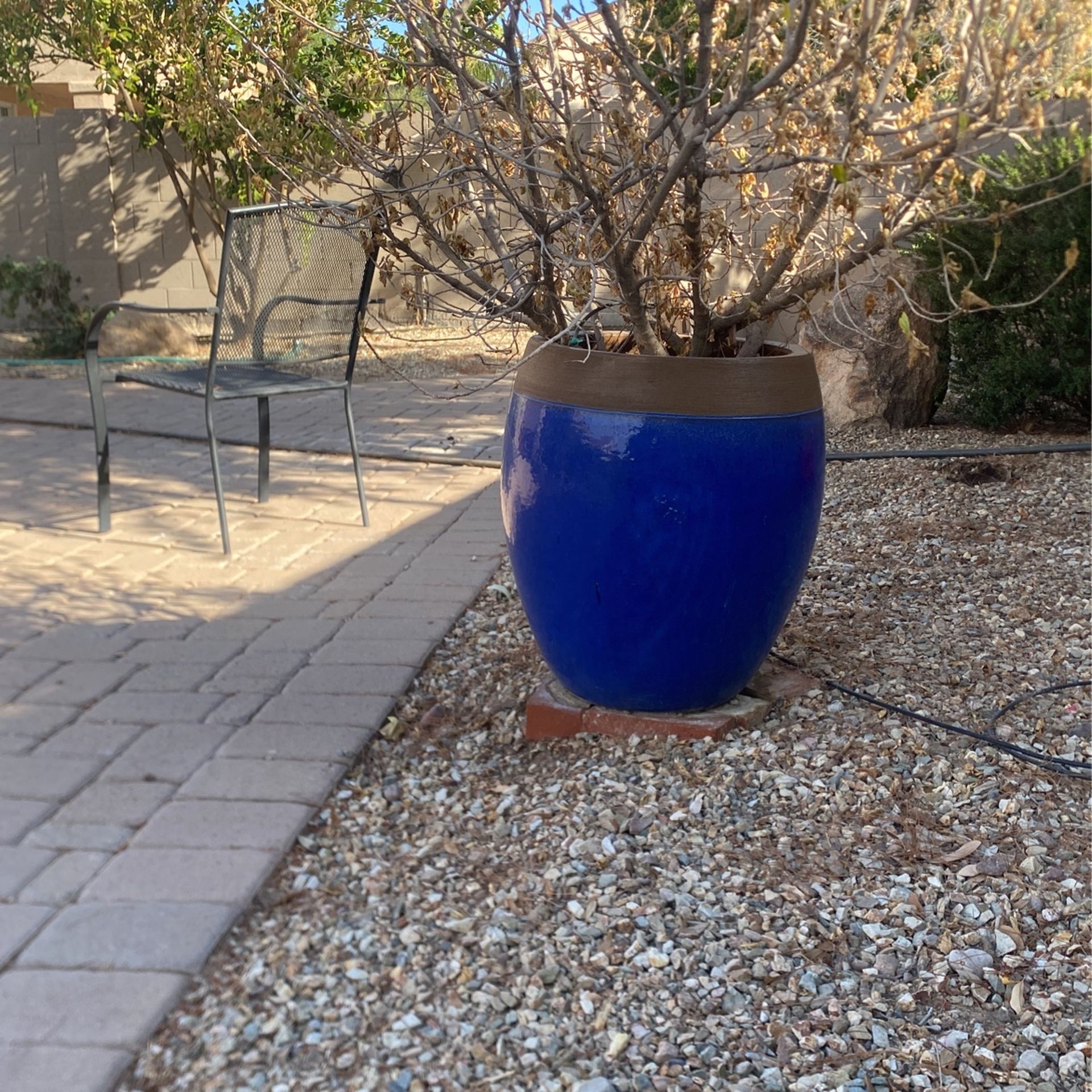 Large Pots for Sale in Chandler, AZ OfferUp