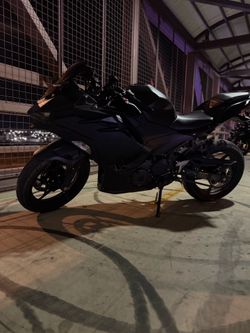 2024 ninja 500