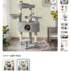 Cat  Condo