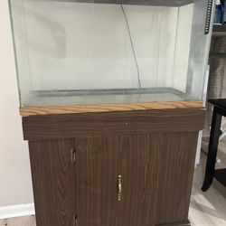 Fish Tank 