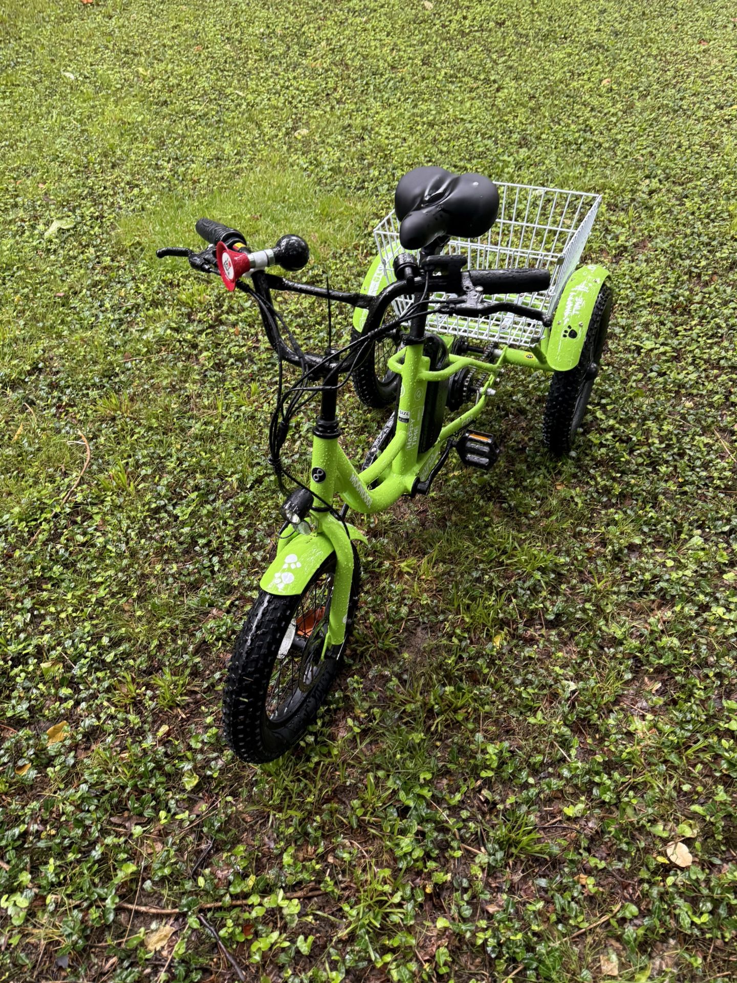 CD1 Electric Youth Trike mooncool Etrike