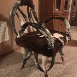 Real Rare Texas Longhorn Chair