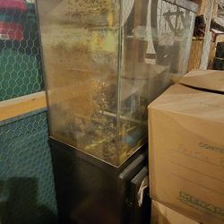 Fish Tank 39 Gal And Stand FREE