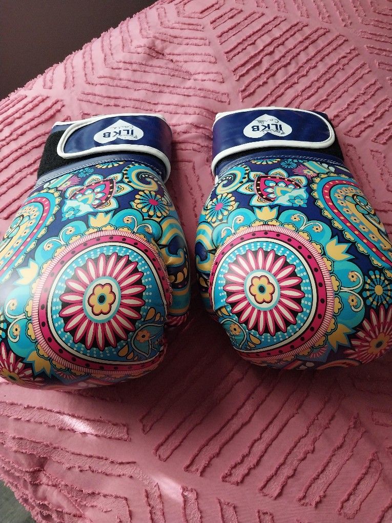 (ILKB) Kickboxing Gloves Like NEW