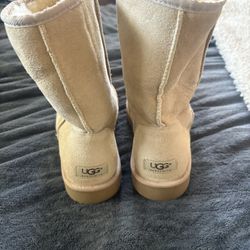 Women's Uggs 