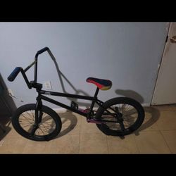 We The People Custom BMX Bike