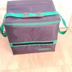 NEW COOLER, 10HX12WX12D INCH, STURDY, LIGHT WEIGHT, FOLD WHEN EMPTY,  ADJ HANDLE, BLUE WITH GREEN TRIMS, ZIPPER CLOSURE AND VELCRO 