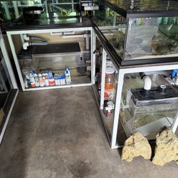 Fish Tank Frag/holding Aquarium