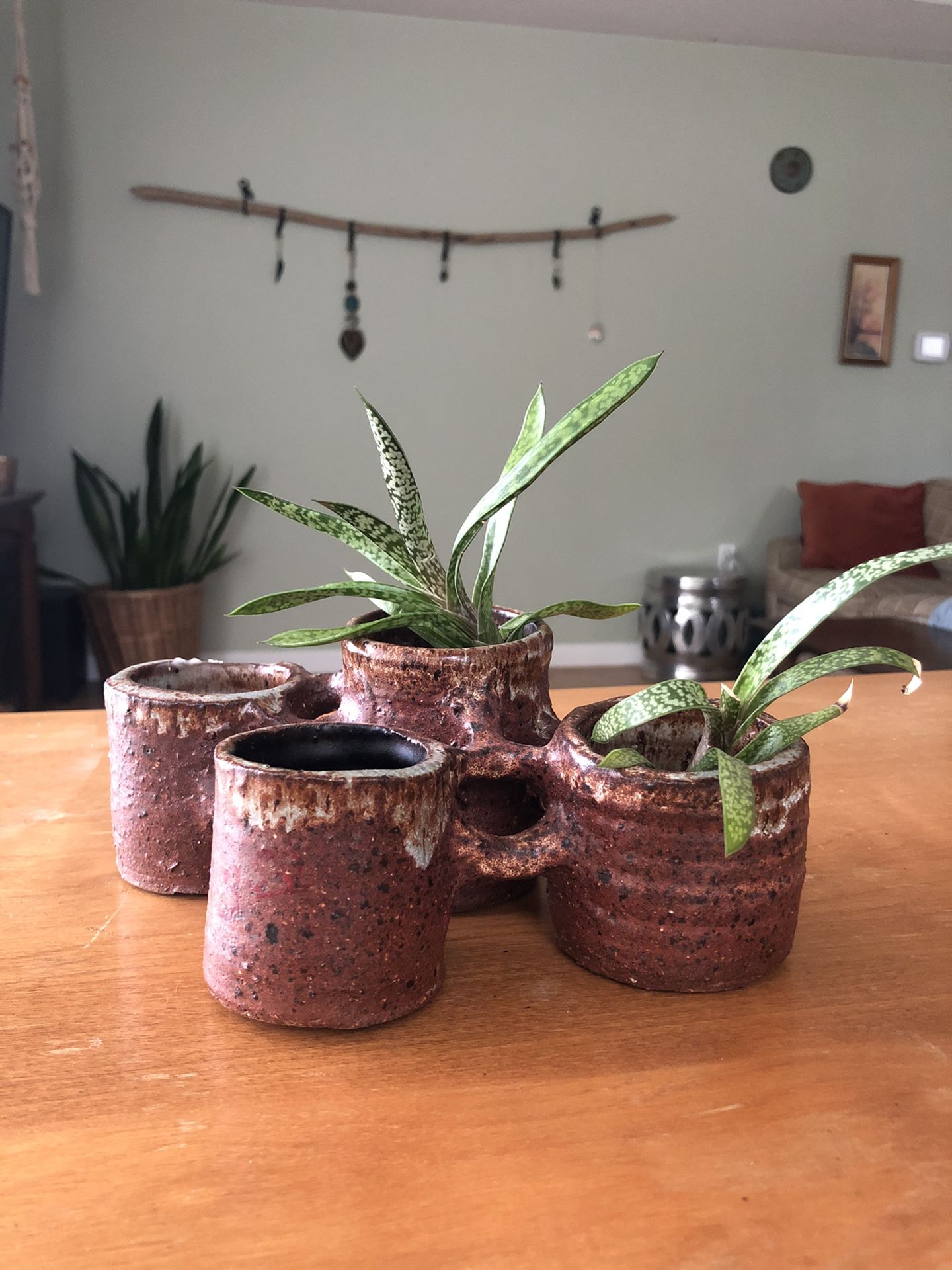 Ceramic cluster planter
