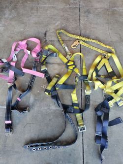 Security harness for forklift