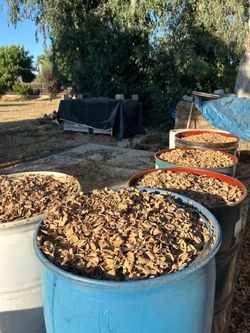 Almond hull cascara de almendra
