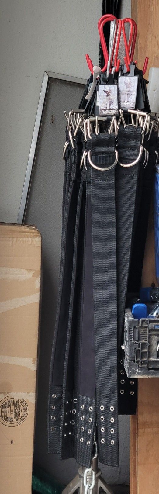 Dog Collars 5.00 Dlls CLOSEOUT