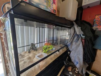 24x48 exo-terra terrarium with light