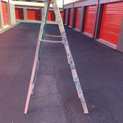 Davison 6’ Ladder