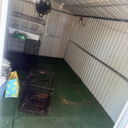 Shed 
