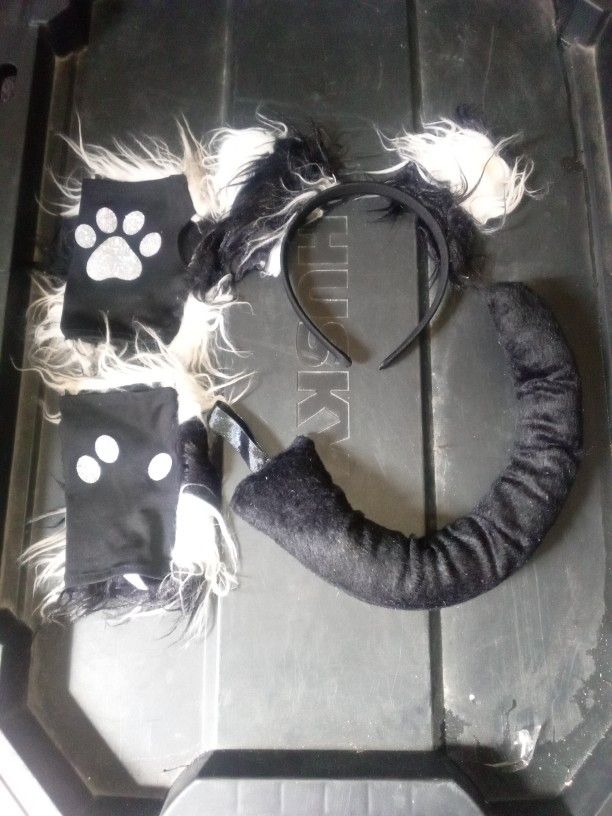 Cat Accessories 