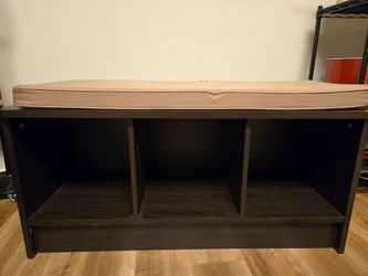 Storage Bench with Cushion