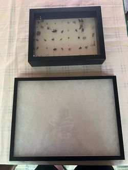 Bug collecting display frames