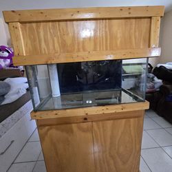 40 gallon saltwater fish tank