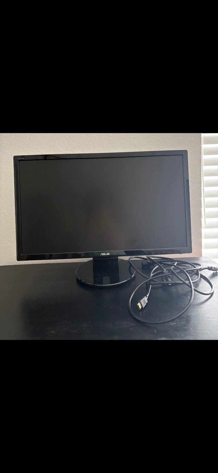 Computer Monitor 22"x13"